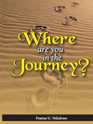 cover image of WHERE ARE YOU IN THE JOURNEY?